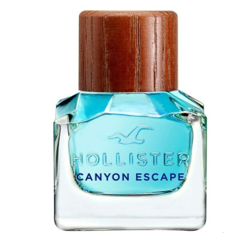 Hollister Canyon Escape Man