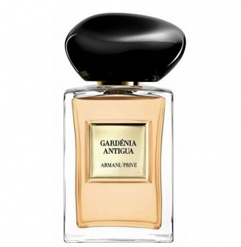 Giorgio Armani Gardenia Antigua