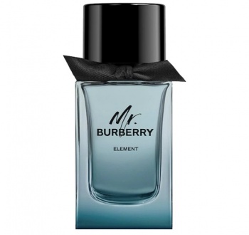 Burberry Mr. Burberry Element