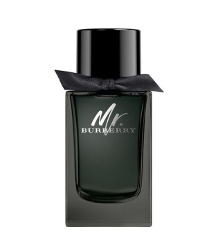 Burberry Mr. Burberry Eau de Parfum