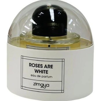 Zimaya Roses Are White