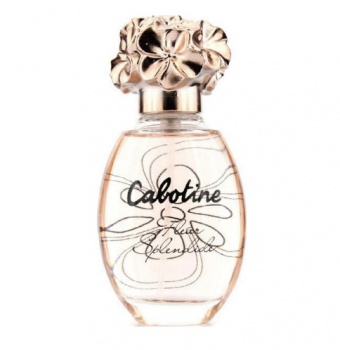 Gres Cabotine Fleur Splendide