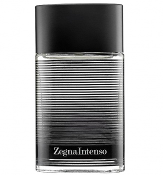 Ermenegildo Zegna Zegna Intenso