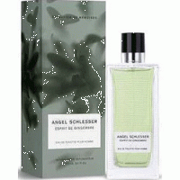 Angel Schlesser Esprit Gingembre Homme