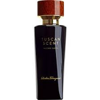 Salvatore Ferragamo Tuscan Scent Incense Suede