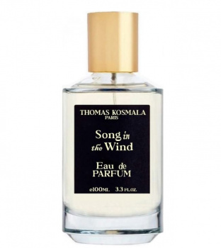 Thomas Kosmala Song In The Wind