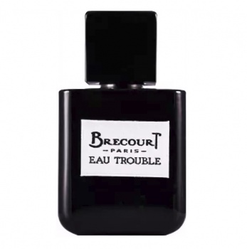 Brecourt Eau Trouble