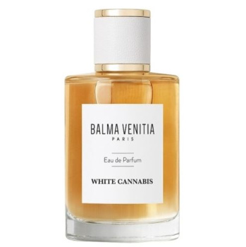Balma Venitia White Cannabis