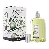 Fragonard Figuier fleur